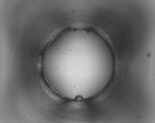 X0000115000065200911091408