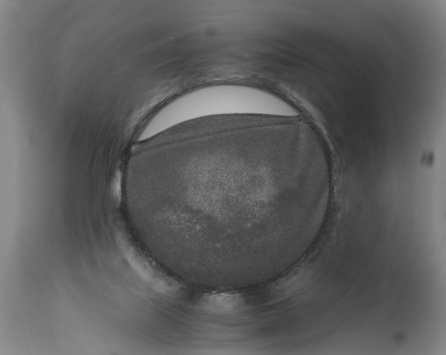 X0000115000067200911091408