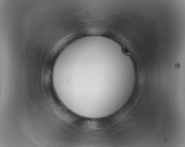 X0000115000071200911091408