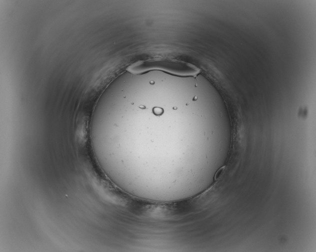 X0000115000074200911091408