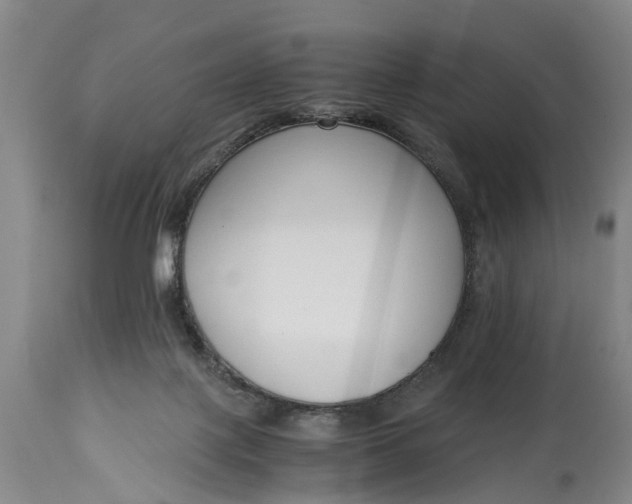 X0000115000075200911091408