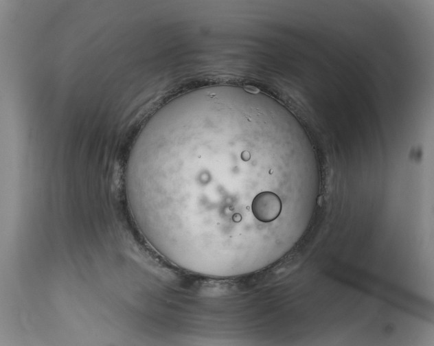 X0000115000077200911091408