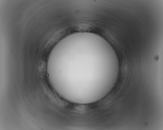 X0000115000079200911091408