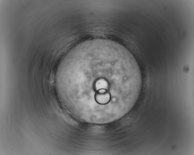 X0000115000081200911091408