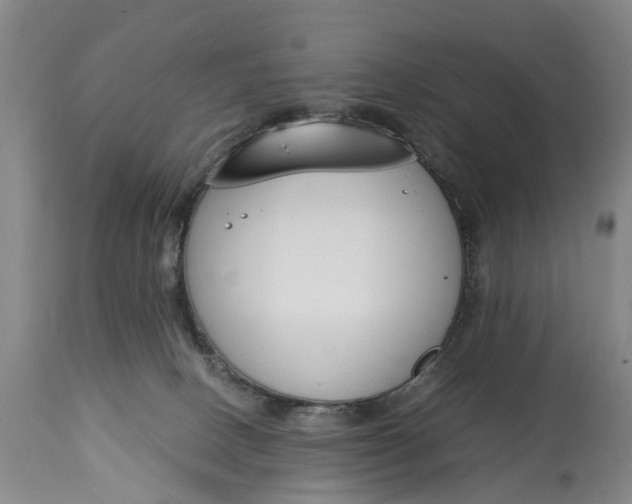 X0000115000082200911091408