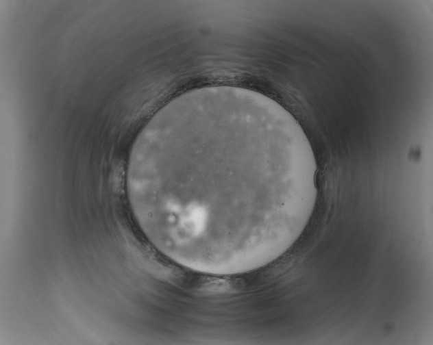 X0000115000083200911091408