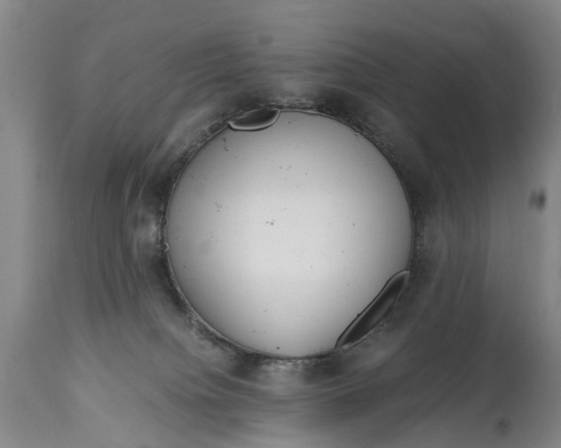 X0000115000084200911091408