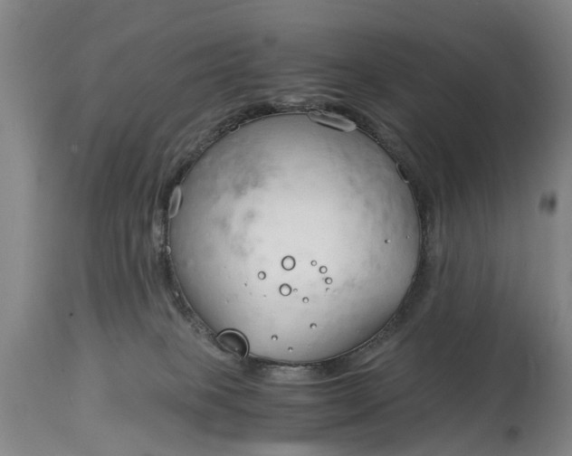 X0000115000085200911091408