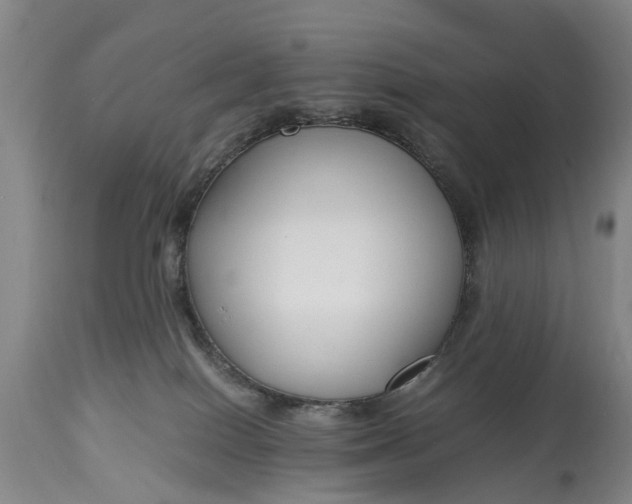 X0000115000086200911091408