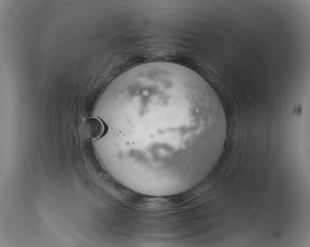 X0000115000087200911091408