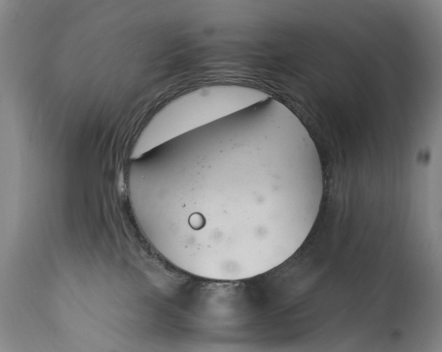 X0000115000089200911091408