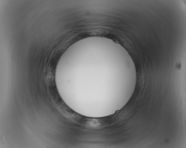 X0000115000091200911091408