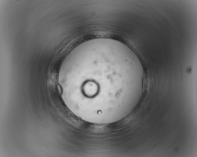 X0000115000093200911091408