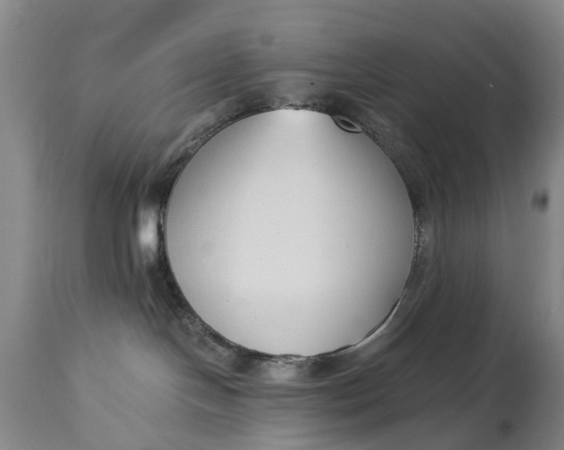 X0000115000094200911091408