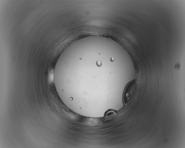 X0000115000095200911091408