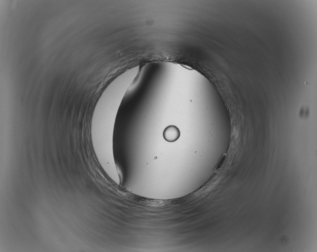 X0000115000096200911091408