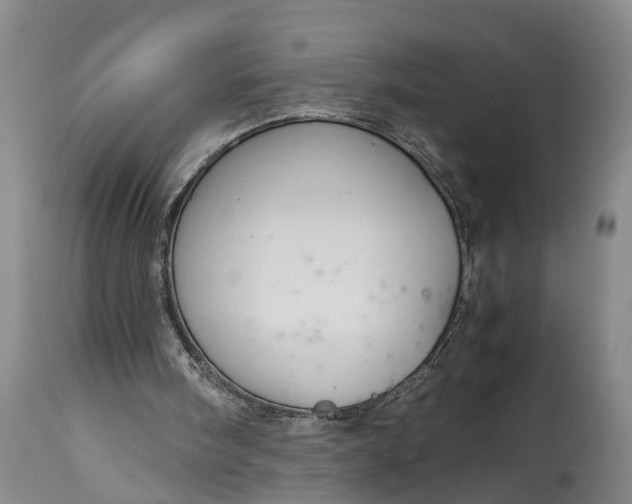 X0000115000098200911091407