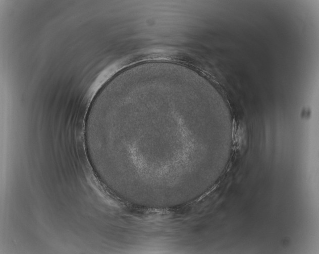 X0000115000099200911091407
