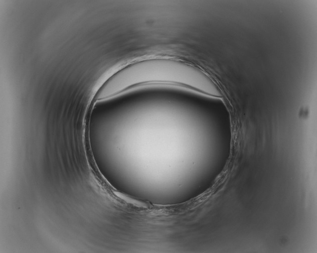 X0000115000100200911091407