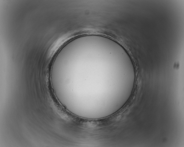 X0000115000103200911091407