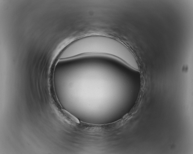 X0000115000104200911091407