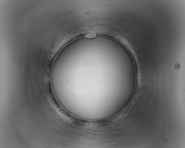 X0000115000105200911091407