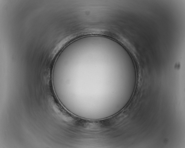 X0000115000107200911091407