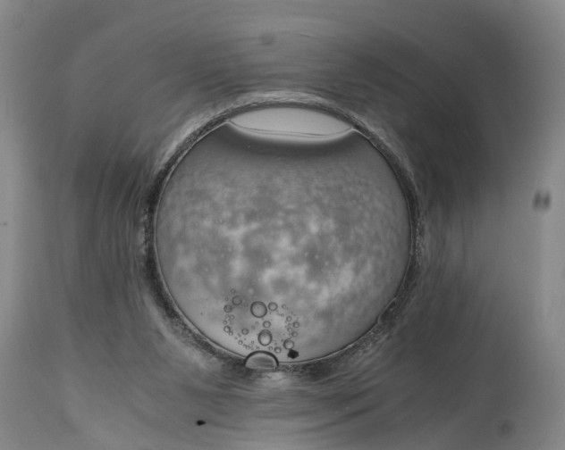 X0000115000111200911091407