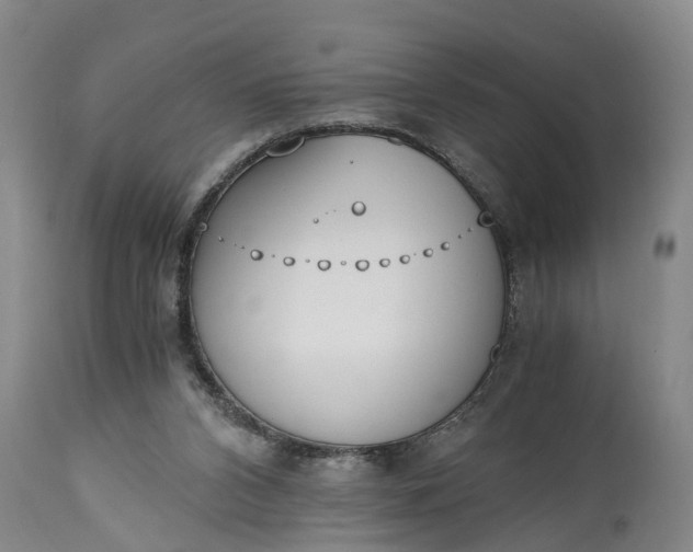 X0000115000112200911091407