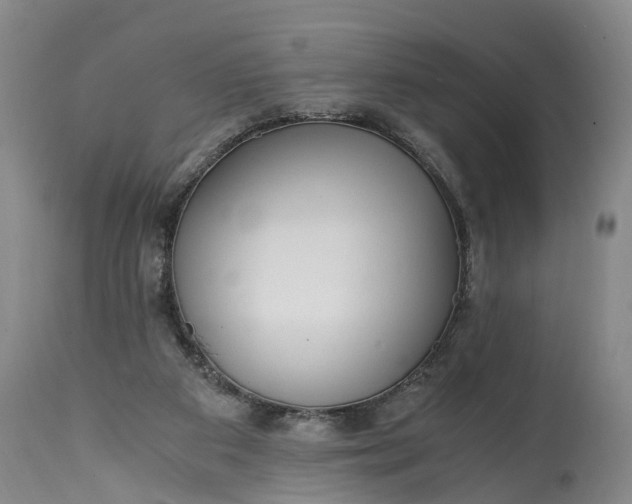 X0000115000113200911091407