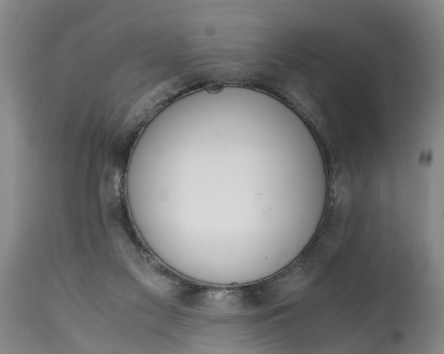 X0000115000117200911091407