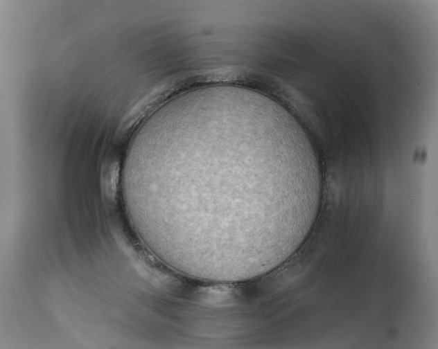 X0000115000118200911091407