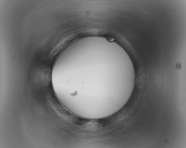 X0000115000119200911091407