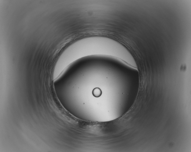 X0000115000120200911091407