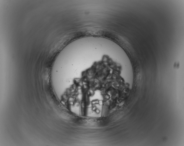 X0000115000121200911091407