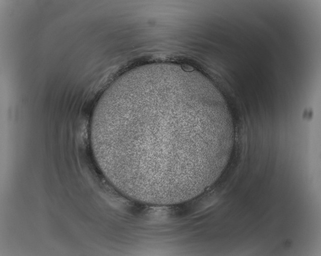 X0000115000127200911091407