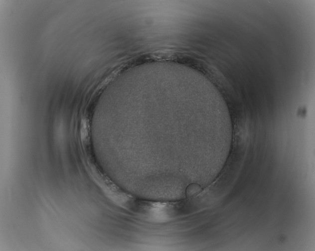 X0000115000130200911091407