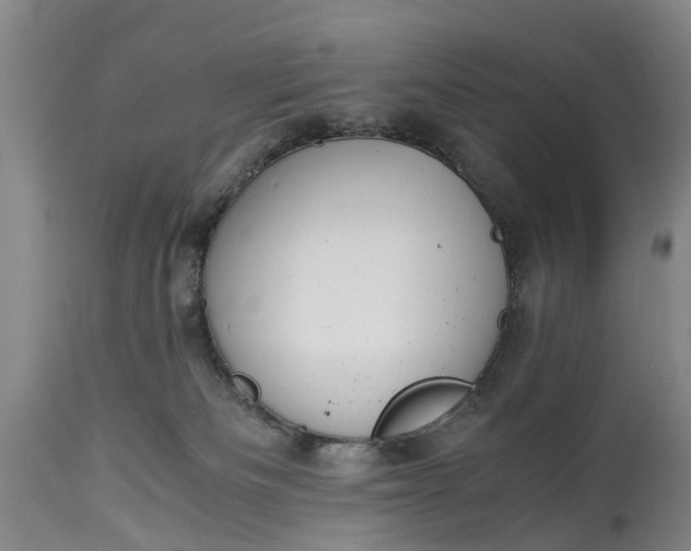 X0000115000133200911091407