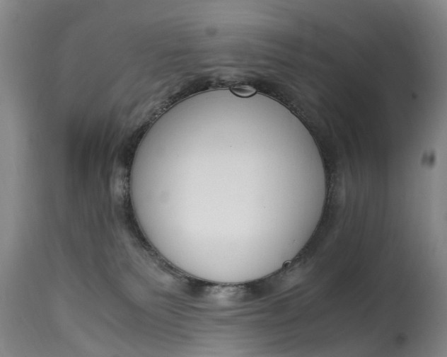 X0000115000135200911091407