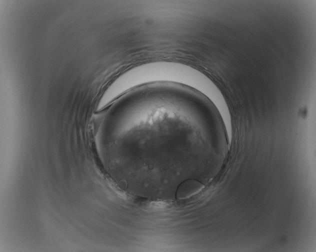 X0000115000139200911091407