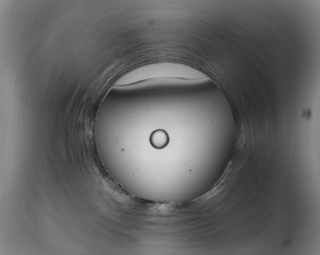 X0000115000140200911091407
