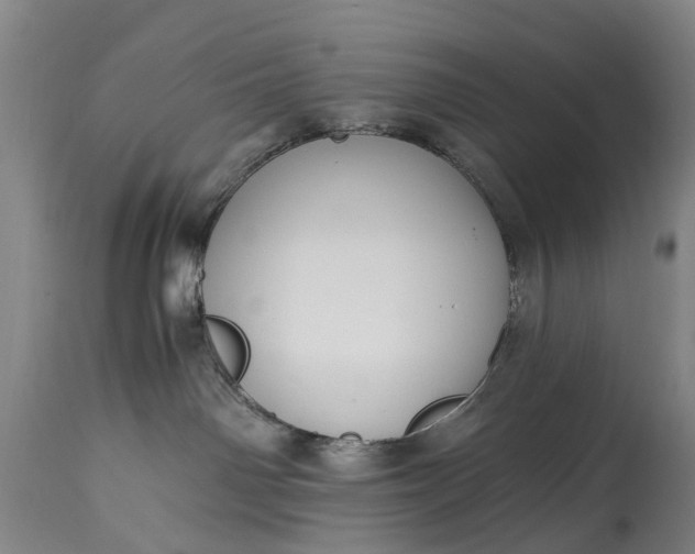 X0000115000142200911091407