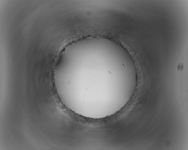 X0000115000144200911091407