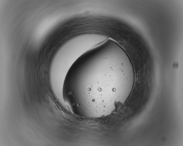 X0000115000146200911091406