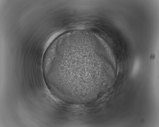X0000115000147200911091406