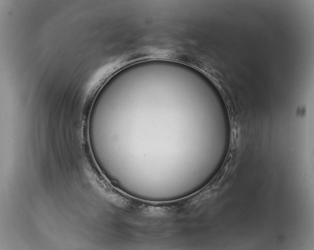 X0000115000149200911091406