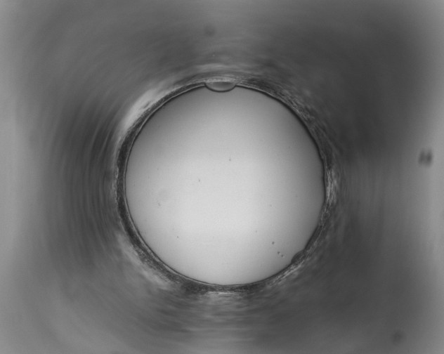 X0000115000150200911091406