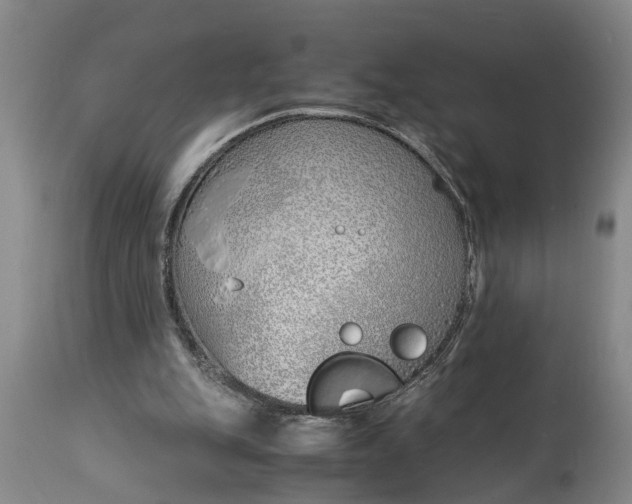 X0000115000151200911091406
