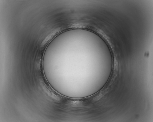 X0000115000153200911091406