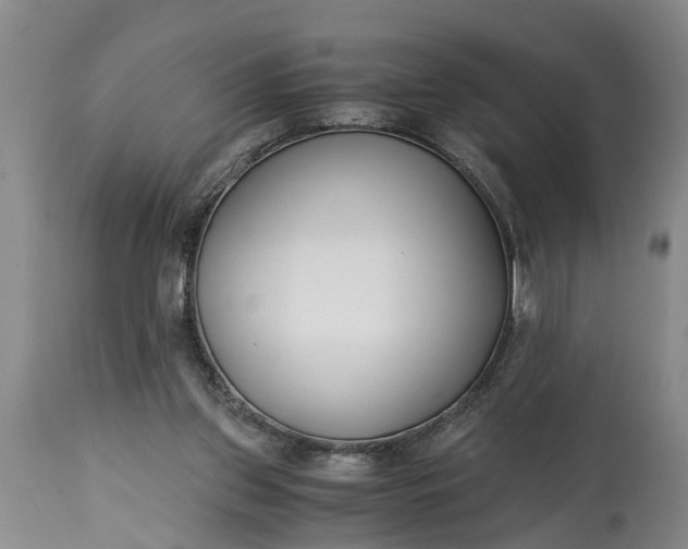 X0000115000157200911091406
